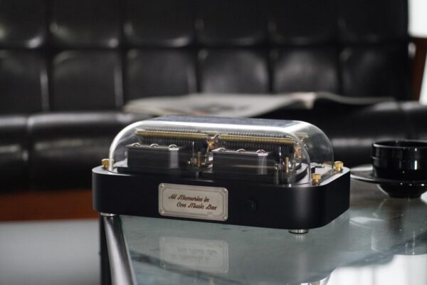 Muro Box-N40 Standard | Your Perfect MIDI Instrument - Image 6