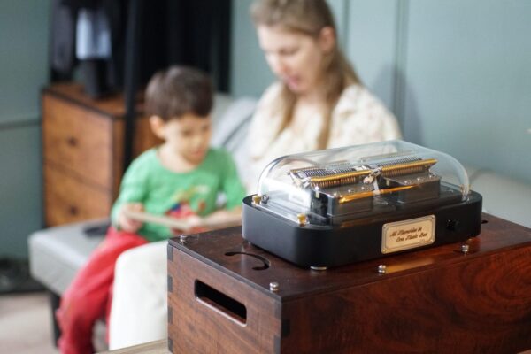 Muro Box-N40 Standard | Your Perfect MIDI Instrument - Image 8