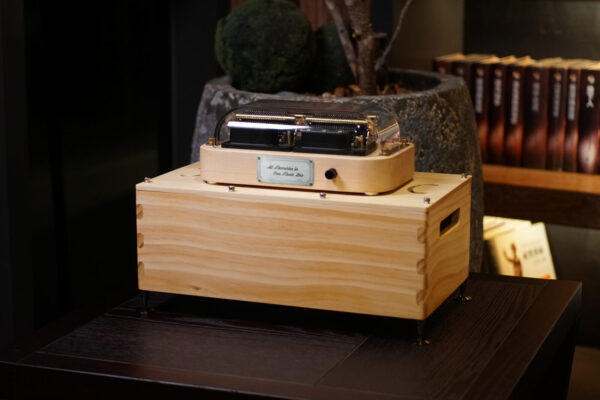 Muro Box-N40 Standard | Your Perfect MIDI Instrument - Image 10